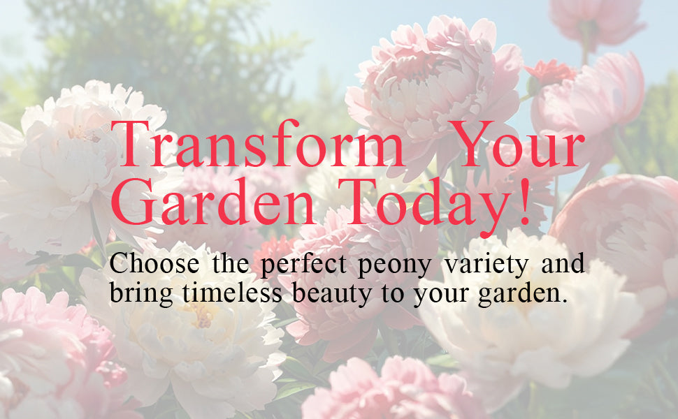 Presenting A+ Content for Peony Bulbs